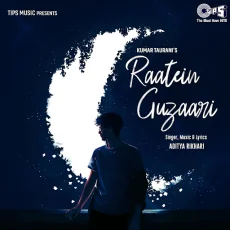 Raatein Guzaari Raatein Guzaari